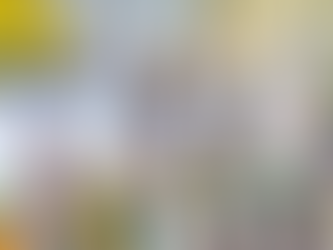 Alagoinhas inicia Semana Nacional de Trânsito com foco em educação e segurança