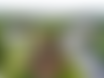 Alagoinhas se destaca em ranking das cidades mais competitivas do Nordeste