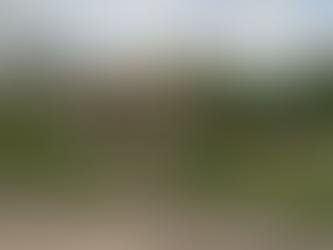 Mulher diz ter sido estuprada por PM dentro de batalhão em PE