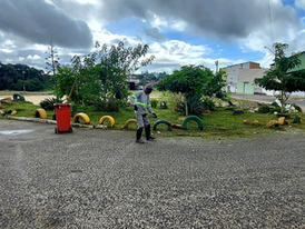 Seman faz trabalho de limpeza, roçagem e pintura de guias em diversos bairros