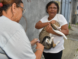 Campanha de vacinação antirrábica em Alagoinhas segue até 30 de setembro