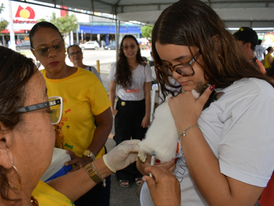 Prefeitura de Alagoinhas realiza mais uma edição da Feira de Adoção Animal