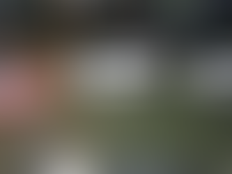 Temporal deixa Santos debaixo d'água e provoca transtornos na Baixada Santista