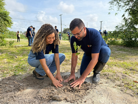 Alagoinhas planta mudas nativas para recuperar a mata ciliar da Fonte dos Padres