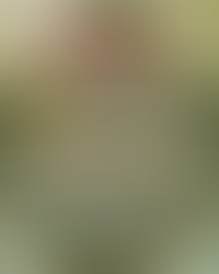 Prefeitura de Alagoinhas abre inscrições para Casamento Social 2025