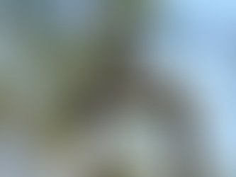 SAAE iniciará cobrança pelo fornecimento de água em Guabiraba, Oiteiro e Novo Paraíso a partir de 1º de janeiro de 2026