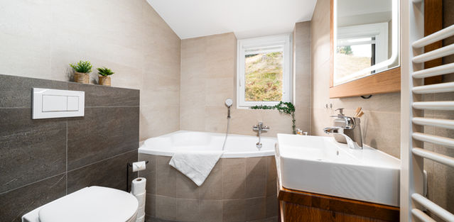 Koupelna, wc, vana, bidetová sprcha, ručníky, šampon, kondicionér, sprchové mýdlo