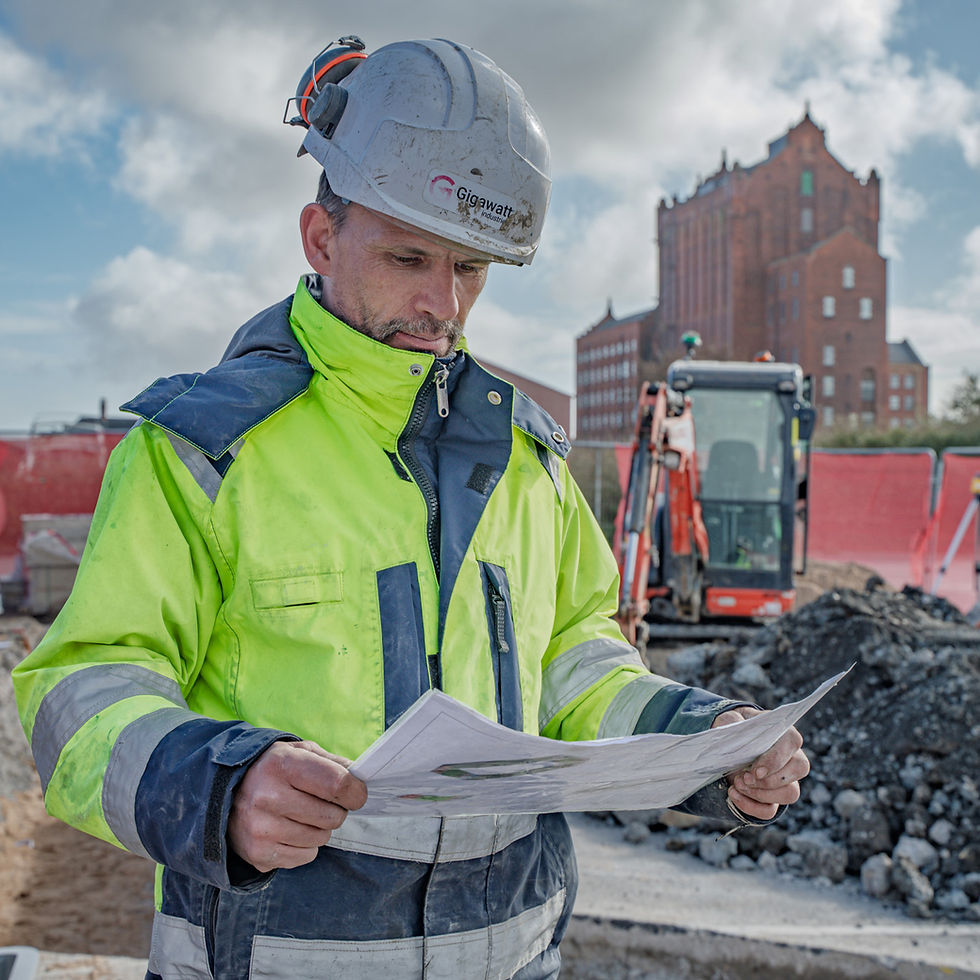Alexandra Park Ground-34 square copy.jpg