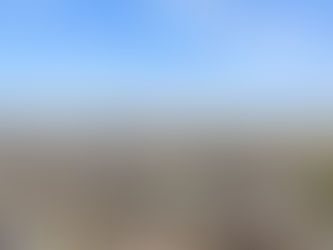 Olde Kensington Real Estate Market Review (2025-2026)