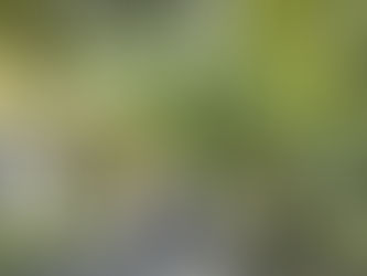 日々徒然/如果能反轉時光