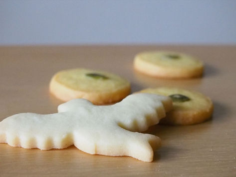 ヒロクランツ/新潟県新潟市