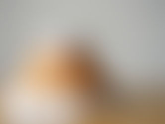 ふじフォン/山梨県富士吉田市