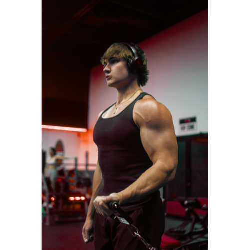 Stef Shreds (2).png