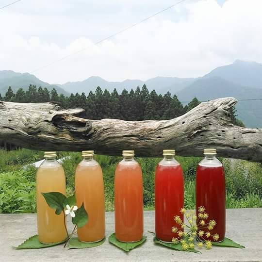 デトックスには薬草酵素