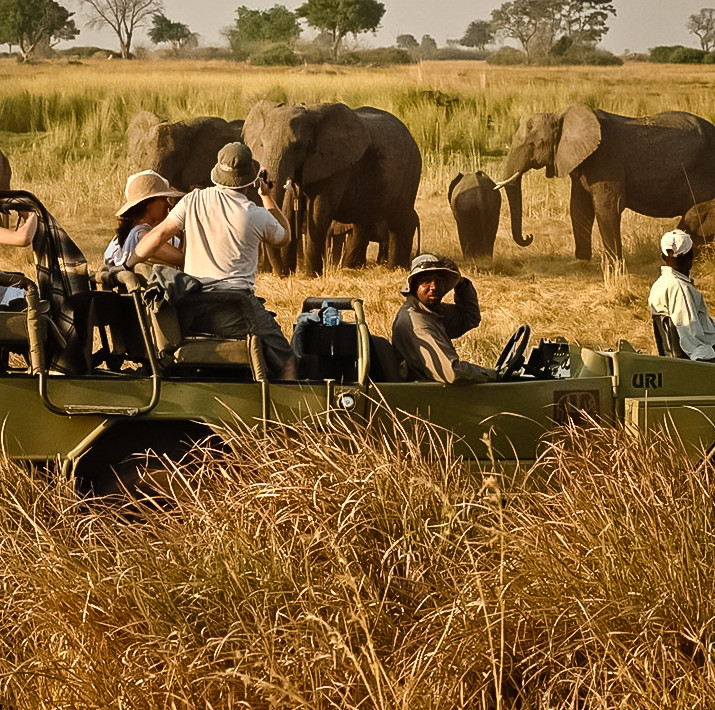 Eine Gruppe Touristen besucht Botswana mit dem Jeep