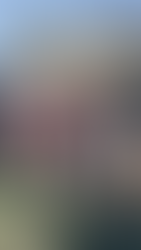 promocja pod Tarasolą