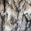 Thumbnail: Tanned Dark Colored Coyote Pelt 