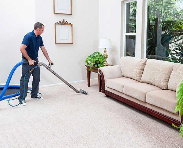 Carpet Cleaning & Installation in Alexandria, Arlington, Woodbridge (and Nearby): What Homeowners Should Know