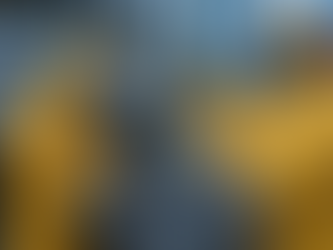 Seattle Death Cleanup Company