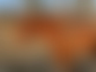 Maybellene Graduates To The Two-Rein Bridle