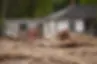 Homes lie in a debris field in the aftermath of Hurricane Helene, Thursday, Oct. 3, 2024, in Pensacola, N.C. Mike Stewart/AP