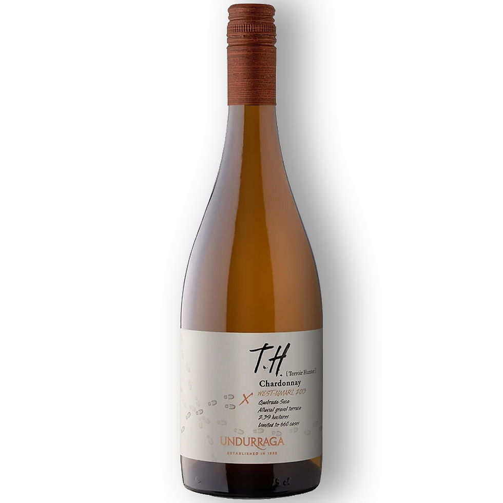Undurraga Terroir Hunter Chardonnay Limari 2021
