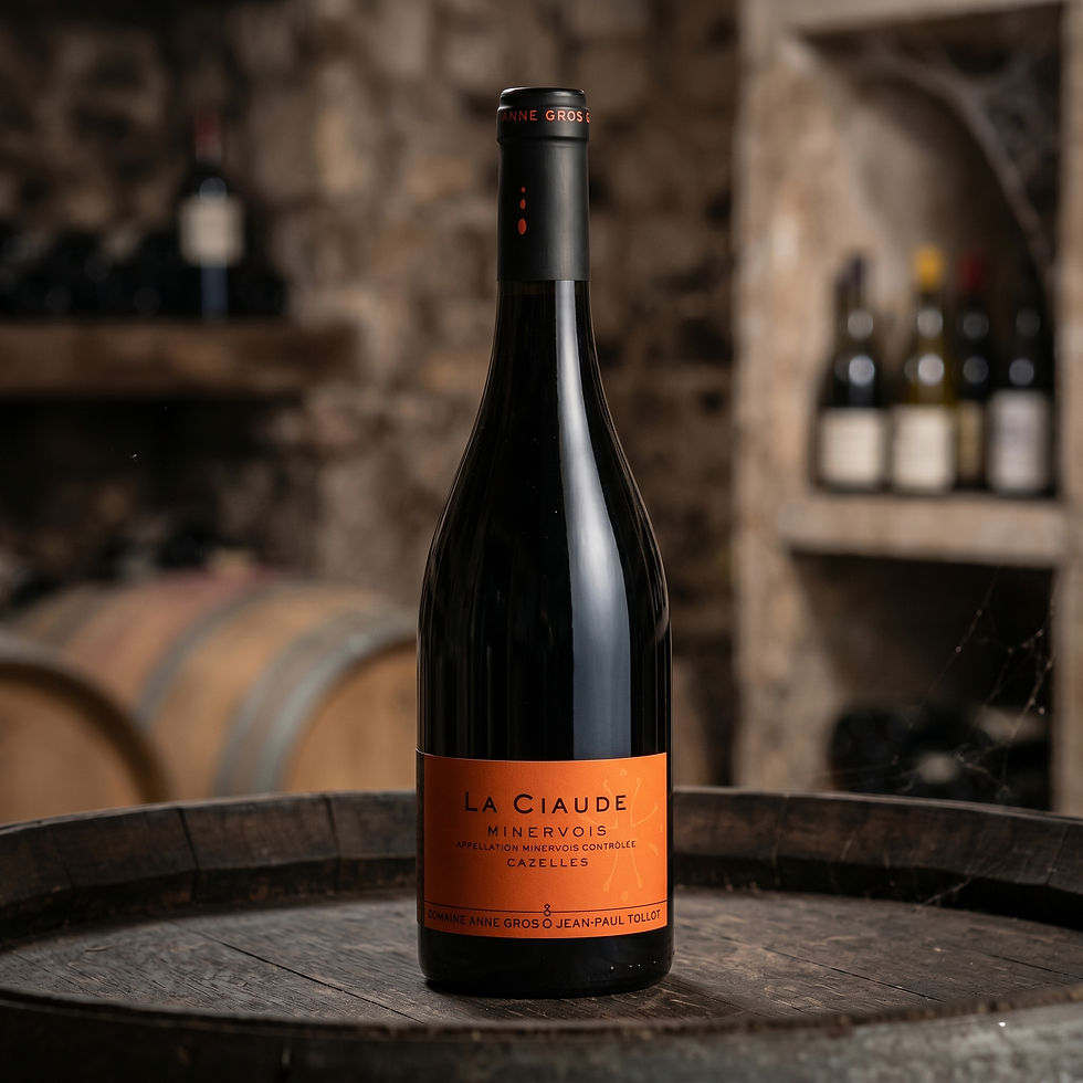 Domaine Anne Gros & Jean-Paul Tollot La Ciaude Minervois Cazelles 2021