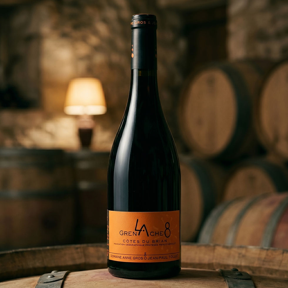 Domaine Anne Gros & Jean-Paul Tollot La Grenache 8 Cotes Du Brain 2022
