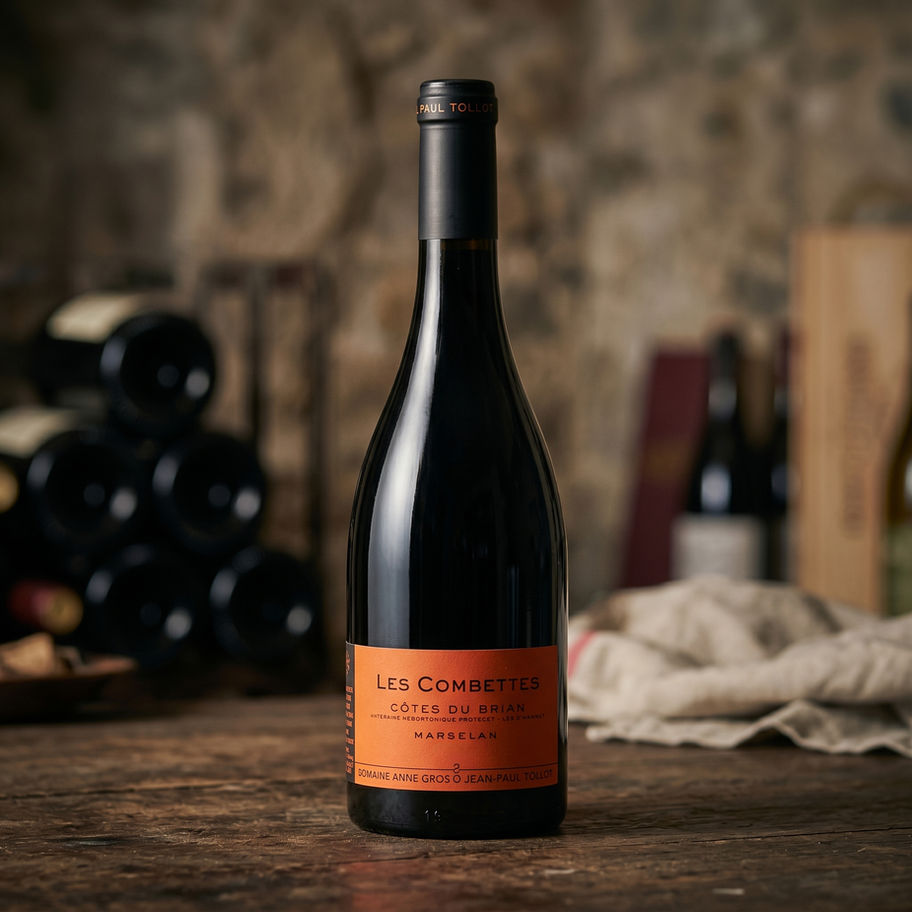 Domaine Anne Gros & Jean-Paul Tollot Combettes Cotes Du Brian Marselan 2020