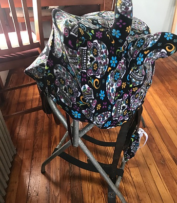 Nats saddle cover front.jpeg