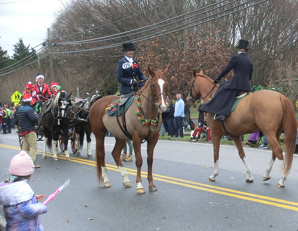 Lou photo credit Claire Lacey.jpg