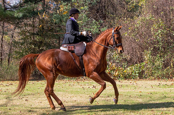 lynn berry Smithtown Hunt last november.