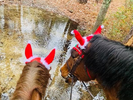 Laureen Bartfield Christmas Ride.jpg