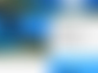 お得に資格ゲット！オープンウォーターダイバーコースキャンペーン実施中！