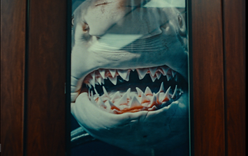 Captura de Pantalla 2025-11-24 a les 17.31.39.png