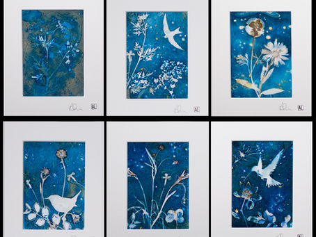 Its all about the Cyanotypes Baby!