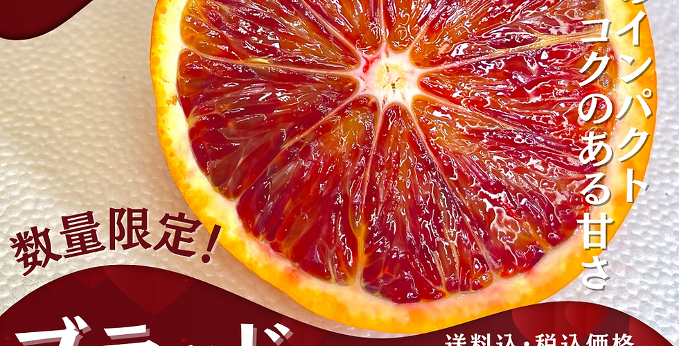 訳ありブラッドオレンジ（タロッコ）【１０kg】