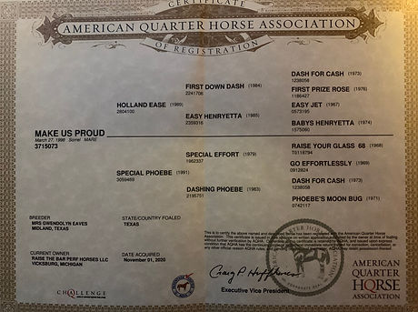 proud papers.jpeg