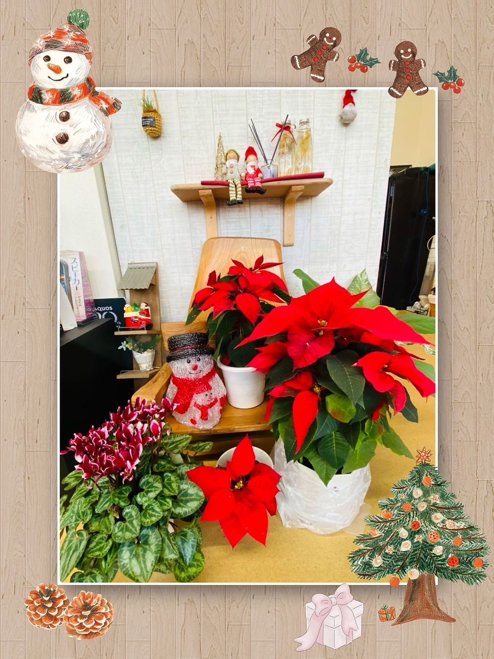 もうすぐクリスマス🎁🎄
