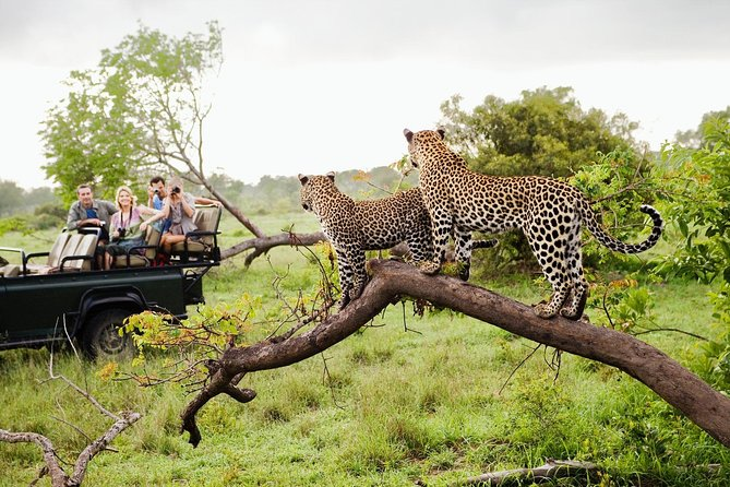 Is Yala National Park Closed in September & October 2026?