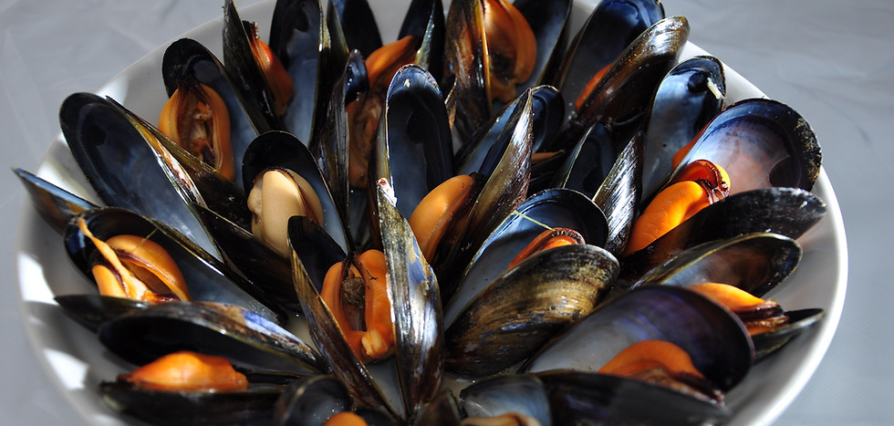 symmetry-bowl-of-mussels.JPG
