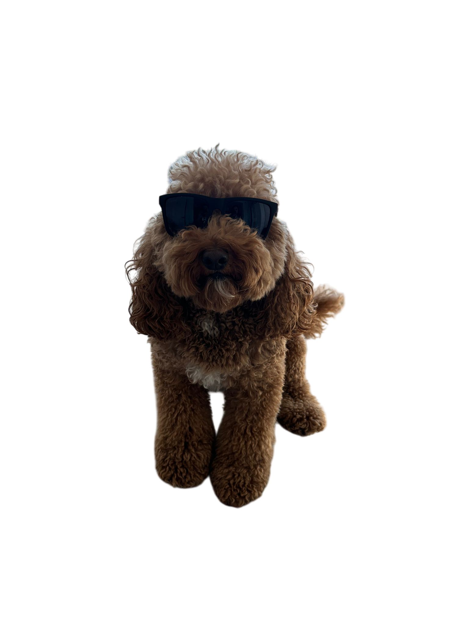 CE0AEBE5-1583-4035-8AF9-8BD9E879185B-Photoroom.png