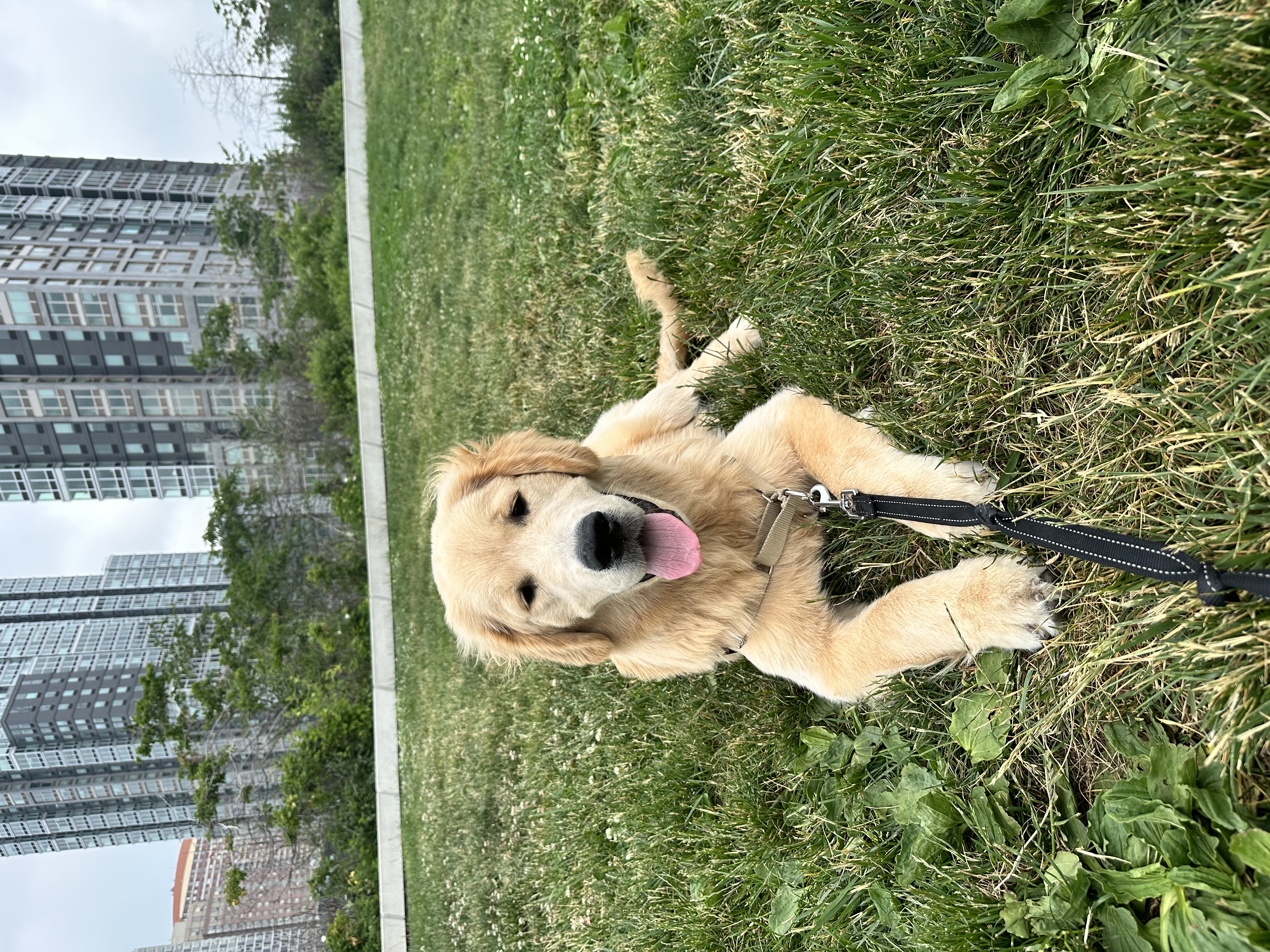 IMG_5018 (1).jpeg