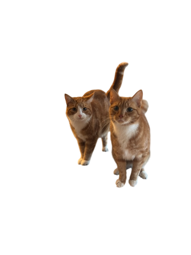 25C19B0D-20D0-4154-84A3-885A95B93D91_1_105_c-Photoroom.png