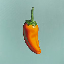 Chili Pepper