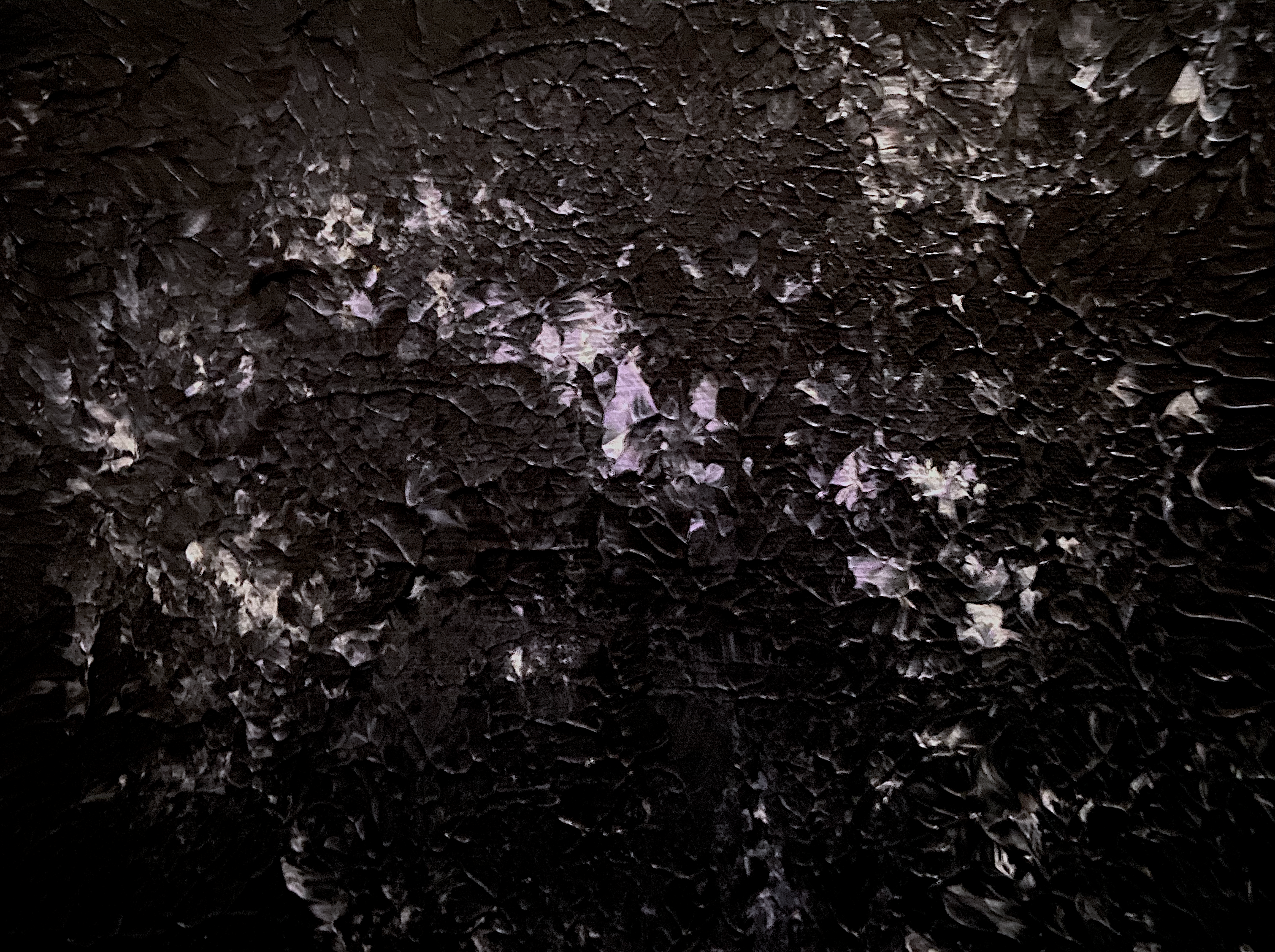 Inside The Black Hole