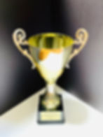 C910A99B-84CE-4F02-8FB9-F2151891B324