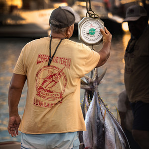 Photographie de voyage d'un pêcheur de dos pesant des thons à Bora Bora, Polynésie, lors d'un concours de pêche matinale sur le quai.