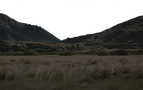 LowLand_edited_edited.png