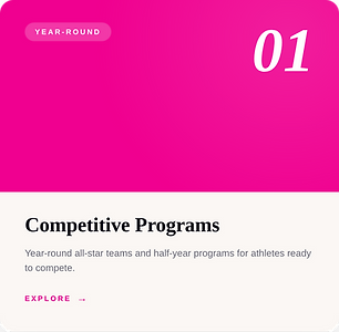 Competitive program box .png